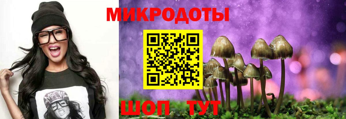 Псилоцибиновые грибы мицелий Пугачёв